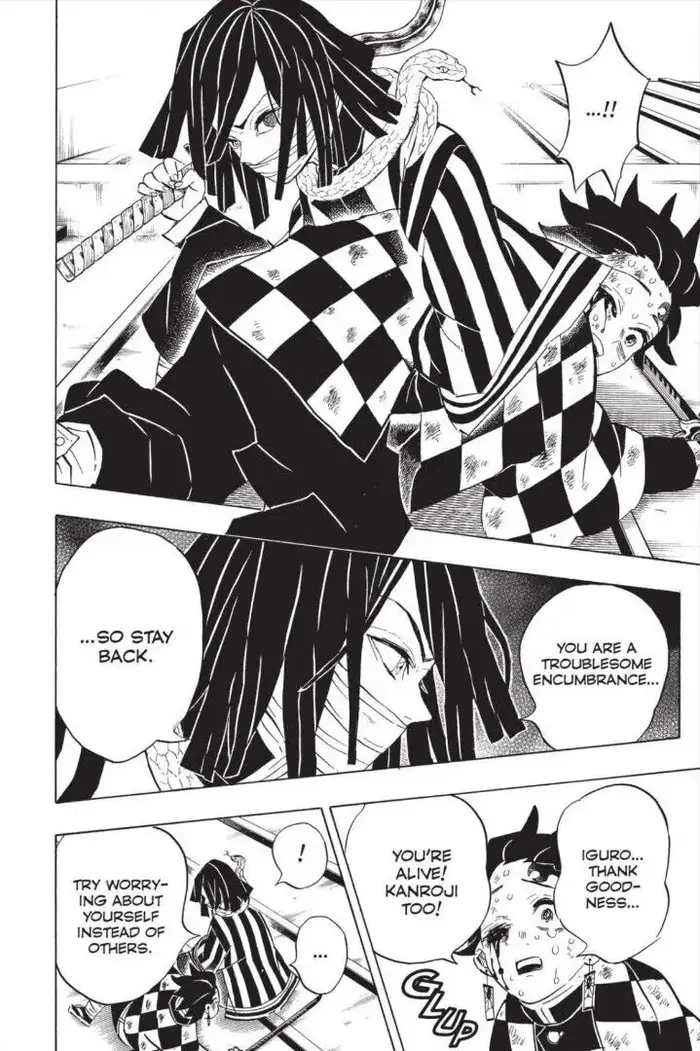 Demon Slayer Chapter 182 image 20_optimized